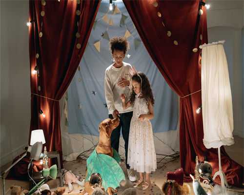 私立机构助孕三代试管包性别服务合法性探讨